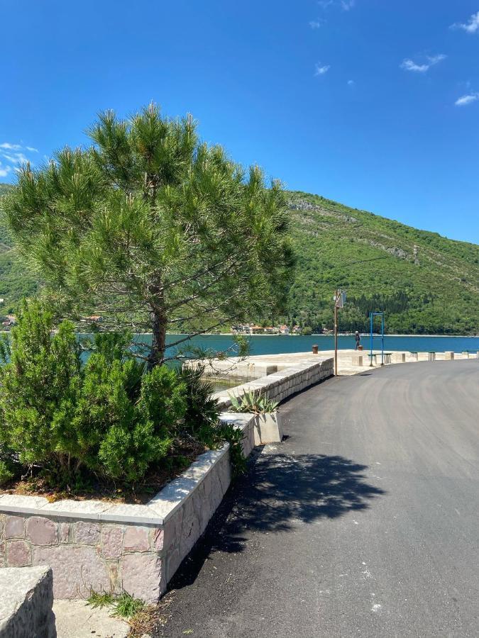 Oldhouse Vucinovic Lägenhet Tivat Exteriör bild